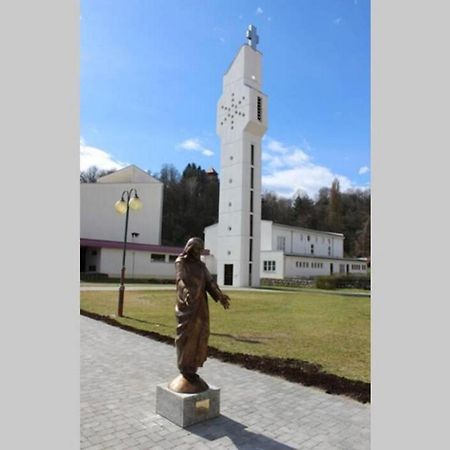 Apartmant Sandra - Big Terace And Free Parking Leilighet Karlovac Eksteriør bilde