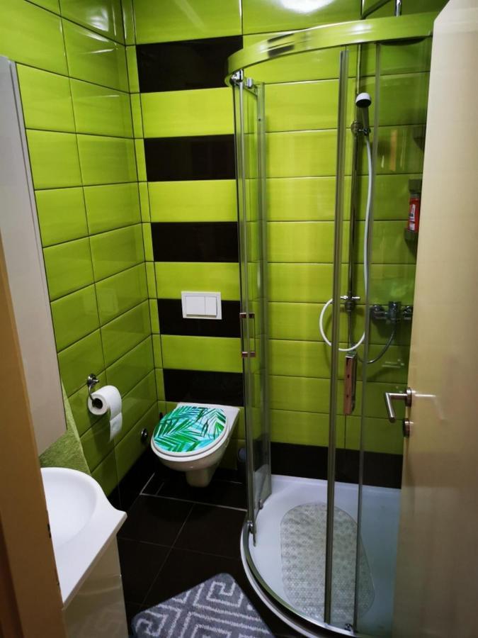 Apartmant Sandra - Big Terace And Free Parking Leilighet Karlovac Eksteriør bilde