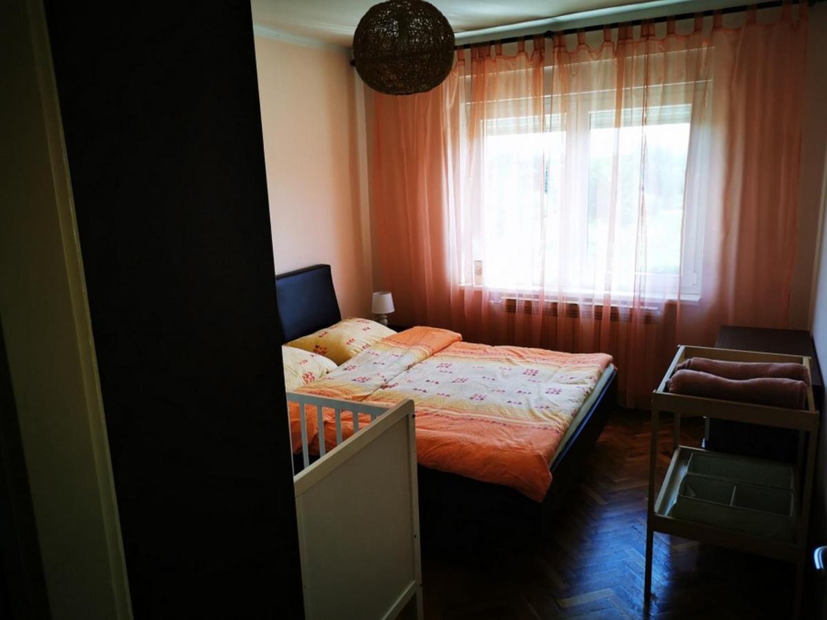 Apartmant Sandra - Big Terace And Free Parking Leilighet Karlovac Eksteriør bilde