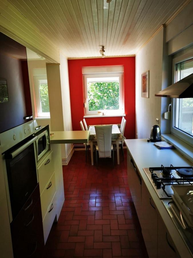 Apartmant Sandra - Big Terace And Free Parking Leilighet Karlovac Eksteriør bilde