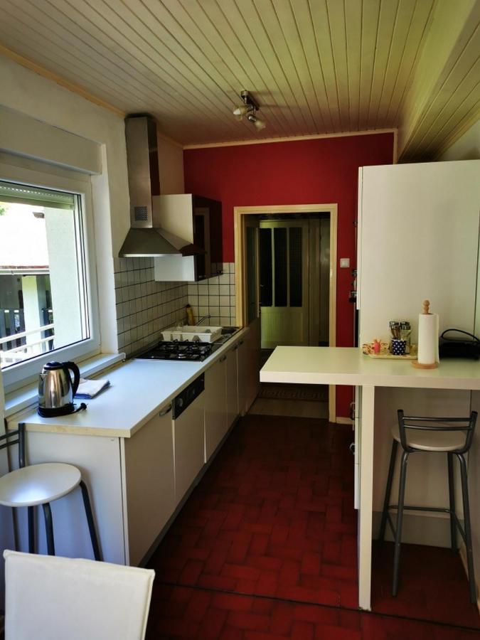 Apartmant Sandra - Big Terace And Free Parking Leilighet Karlovac Eksteriør bilde